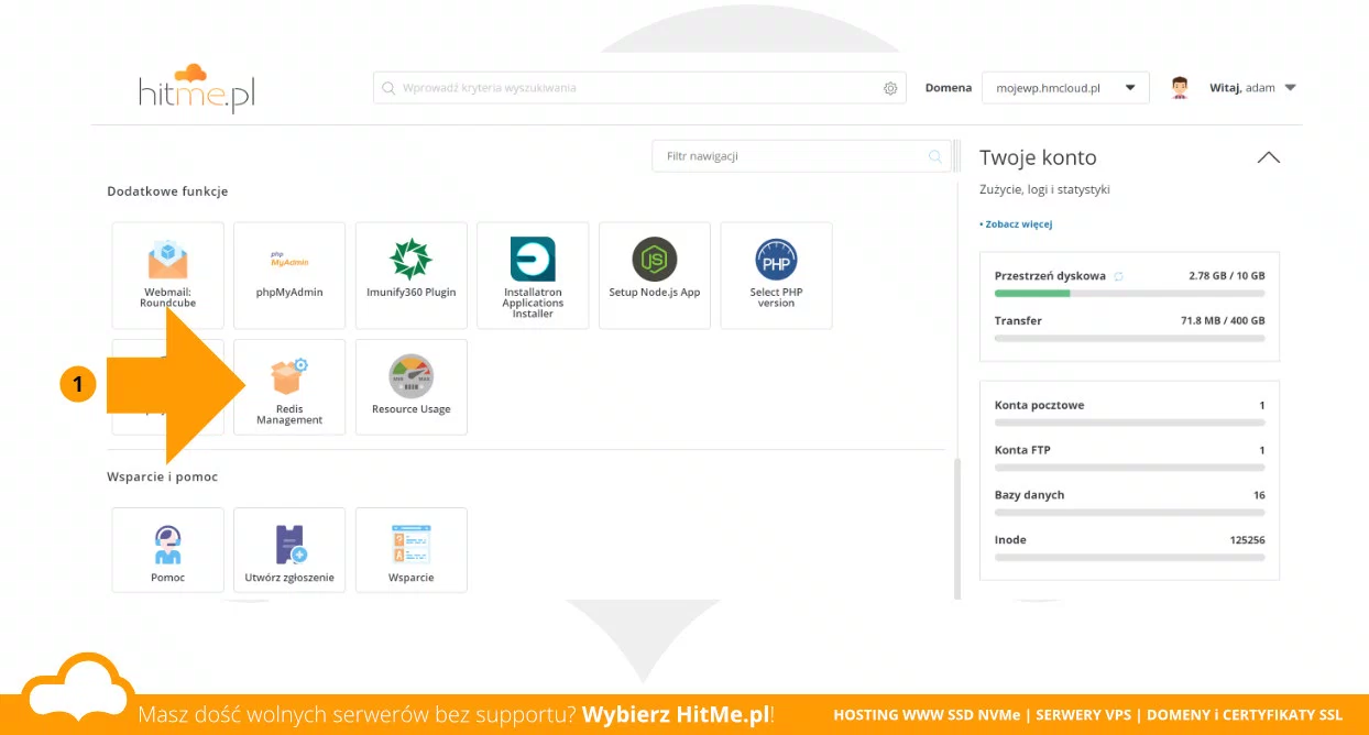 Redis Management w sekcji Dodatkowe funkcje panelu DirectAdmin na hostingu WWW
