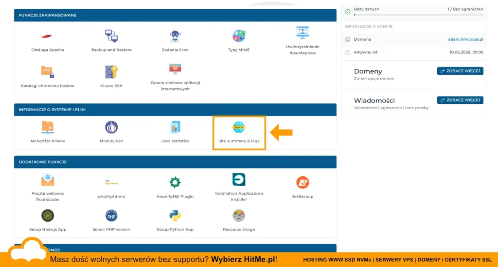 directadmin site summary logs