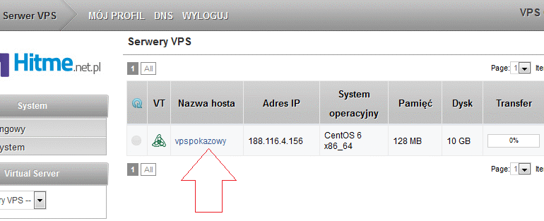 panel vps