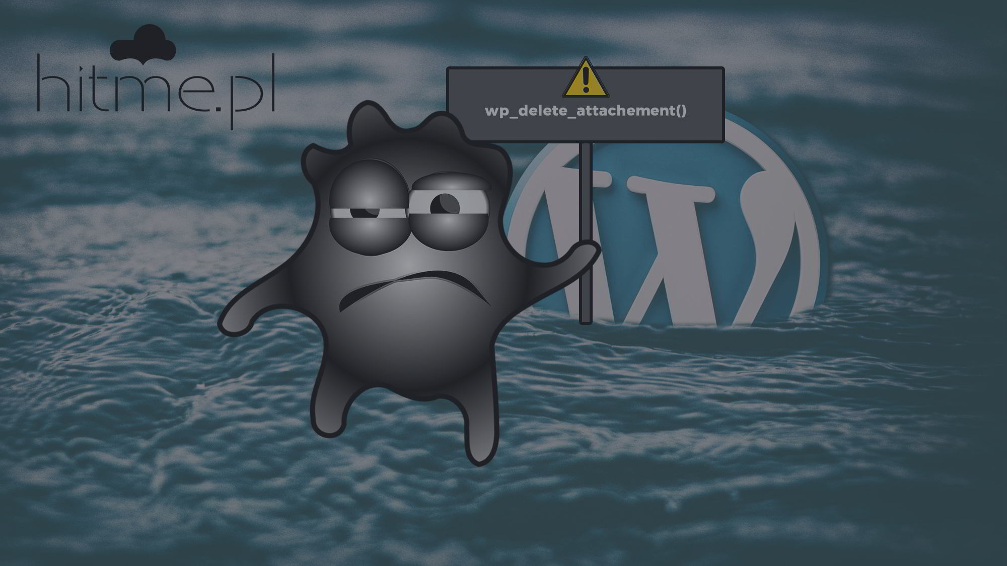 Obrazek dla Luka w funkcji WordPress