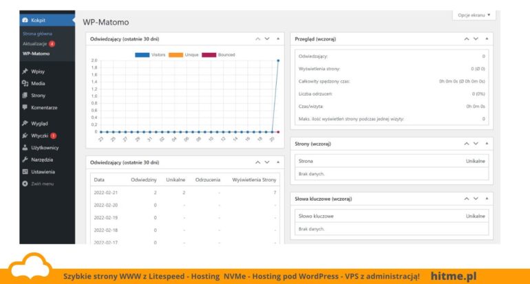 wtyczka wp-matomo analytics
