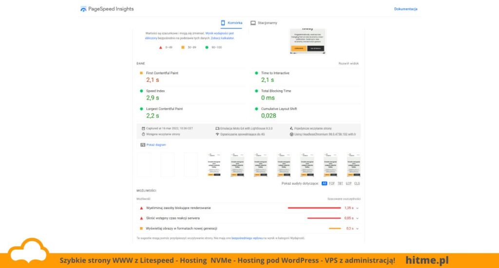 raportu szybkości strony wg. PageSpeed Insigths