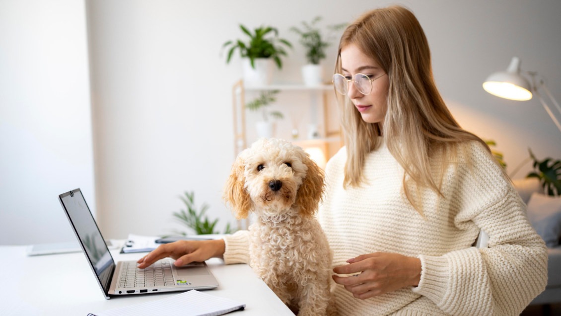 Obrazek dla Jak zainstalować WordPress lokalnie na komputerze?