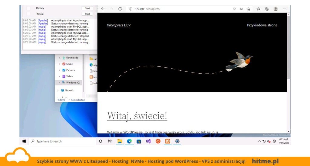 windows xampp wordpress lokalnie