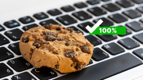 Jak dodać zgodę na ciasteczka – WordPress RODO, GDPR