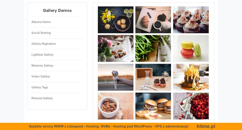 wtyczka envira gallery